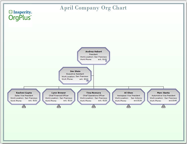 Final branded organization chart
